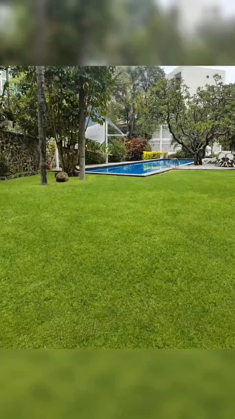 WhatsApp Video 2026-10-04 at 21.04.16.mp4