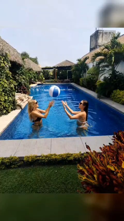 WhatsApp Video 2026-10-03 at 17.04.24.mp4